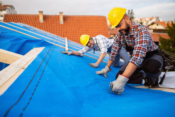 Best Metal Roofing Contractor  in Butler, GA
