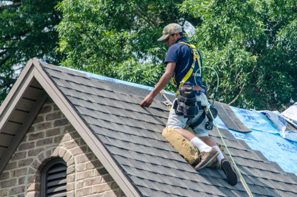 Best Roof Leak Repair  in Butler, GA